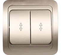 Выключатель проходной 2-клавишный Smartbuy 10А, шампань, "Марс" SBE-02c-10-SW22-0
