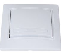 Кнопка включения Intro Plano 110901 10А 250В, IP20, СУ, Plano, белый Б0053830