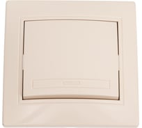 Кнопка включения Intro Plano 110902 10А, 250В, IP20, СУ, Plano, слоновая кость Б0053832