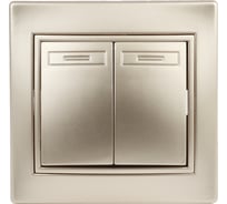 Переключатель Intro Plano 110704 двухклавишный, 10А250В, IP20, СУ, шампань Б0053808