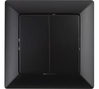 Переключатель Intro Solo 410705 двухклавишный, 10А, 250В, IP20, СУ, антрацит Б0053613