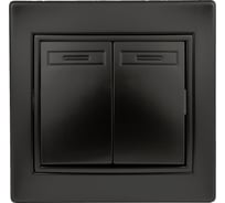 Переключатель Intro Plano 110705 двухклавишный, 10А250В, IP20, СУ, антрацит Б0053810
