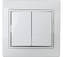 Переключатель Intro Plano 110701 двухклавишный, 10А250В, IP20, СУ, белый Б0053802
