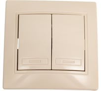 Переключатель Intro Plano 110702 двухклавишный, 10А250В, IP20, СУ, слоновая кость Б0053804