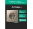 Розетка Systeme Electric с заземлением ArtGallery 16А механизм Шампань GAL000543 10