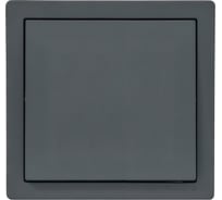 Выключатель Lezard LETO графит 752-3400-100