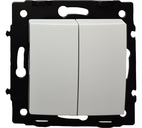 2 клавишный выключатель ECON Камелия 10А белый без рамки K002B