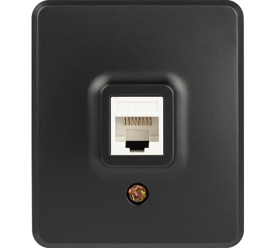Розетка ЭРА Эксперт 11320305 информационная RJ45, IP20, ОУ, антрацит Б0062988