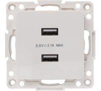 Механизм 2-местной USB розетки EKF PROxima Стокгольм, 2,1А, белый EYR16-028-10-2USB