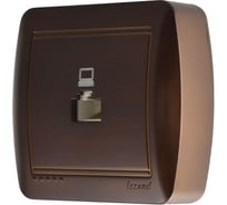 Компьютерная розетка Lezard DEMET маун 711-0400-139