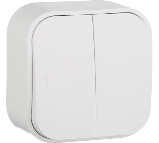 Переключатель Legrand двухклавишный Legrand Quteo IP20 10A 250В винтовые зажимы накладной монтаж белый 782206