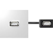 Проходной модуль с адаптером USB мама/мама Simon, белый, 400 40001191-030