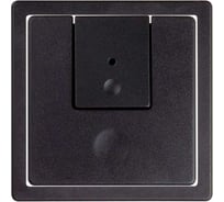 Накладка для проходного выключателя Simon, S82, 82N, S82 Detail, графит 82007-38