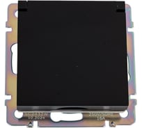 Розетка влагозащищенная WERKEL с заземлением, с защитной крышкой и шторками черный матовый a069582