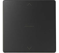 Накладка на трехпозиционный переключатель для управления жалюзи Simon, графит 82033-38