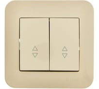 Выключатель проходной Lezard ASTI двойной матовое серебро 7081-4343-106