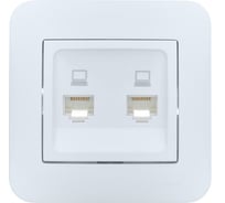 Розетка компьютерная двойная Lezard ASTI белая 7081-0202-141