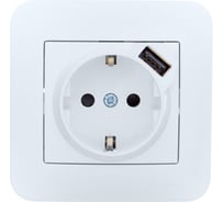 Розетка Lezard ASTI с заземлением + USB разъём белая 7081-0202-181