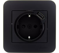 Розетка Lezard ASTI с заземлением + USB разъём чёрный бархат 7081-4242-181