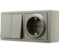 Выключатель двойной и розетка Lezard LETO с заземлением, платина горизонталь 752-3500-170BKP