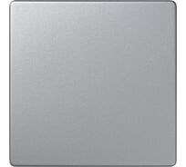 Заглушка Simon, S73 Loft, алюминий 73800-63