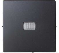 Клавиша для одноклавишного выключателя с подсветкой Simon под пиктограммы, графит 8200013-038