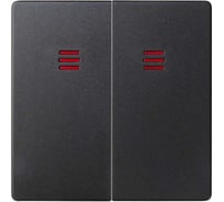 Клавиши для двухклавишного выключателя с подсветкой Simon графит, 2 штуки 82025-38