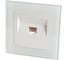 Компьютерная 1-местная розетка STEKKER RJ-45, серия Катрин, со стеклянной рамкой, GLS00-7007-01, белый 39170 1