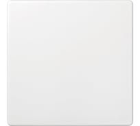 Заглушка Simon, S73 Loft, белый 73800-60