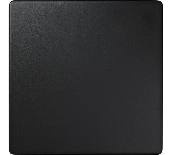 Заглушка Simon, S73 Loft, графит 73800-62