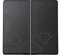 Клавиша на двухклавишный кнопочный выключатель Simon, 2шт, с пиктограммой стрелка, S73 Loft, графит 73028-62