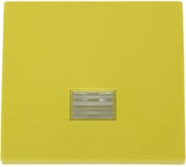 Декоративная сменная клавиша Simon для одноклавишного выключателя с подсветкой  S44 Aqua, фисташковый 4400010-065