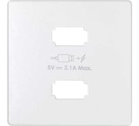 Накладка для зарядного устройства Simon 2хUSB, S82, S82N, S82 Detail, белый 8211096-030