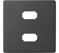 Накладка для коннектора Simon 2хUSB 2.0 типа А, мама, S82, S82N, S82 Detail, графит 8201090-038