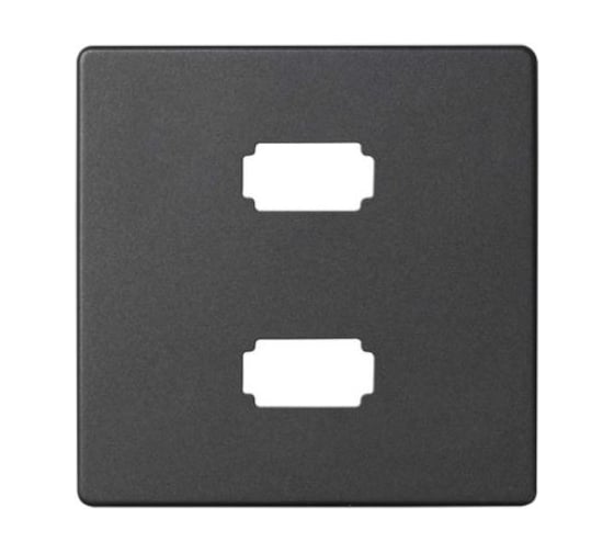 Накладка для коннектора Simon 2хUSB 2.0 типа А, мама, S82, S82N, S82 Detail, графит 8201090-038