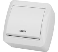 Выключатель одноклавишный накладной с подсветкой, белый IP44 TDM ELECTRIC 10А, серия "Селигер" SQ1818-0003