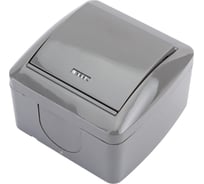 1-клавишный выключатель TDM ELECTRIC открытой установки с подсветкой IP44 10А серый "Селигер" SQ1818-0103