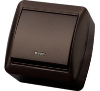 Выключатель с подсветкой одноклавишный накладной IP44 TDM ELECTRIC 10А шоколад, серия "Селигер" SQ1818-0203