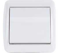 1-клавишный выключатель TDM ELECTRIC открытой установки IP44 10А белый "Селигер" SQ1818-0001