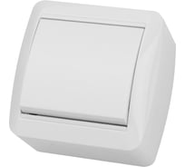 1-клавишный выключатель TDM ELECTRIC открытой установки IP44 10А белый "Селигер" SQ1818-0001