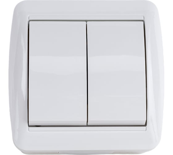 2-клавишный выключатель TDM ELECTRIC открытой установки IP44 10А белый "Селигер" SQ1818-0002