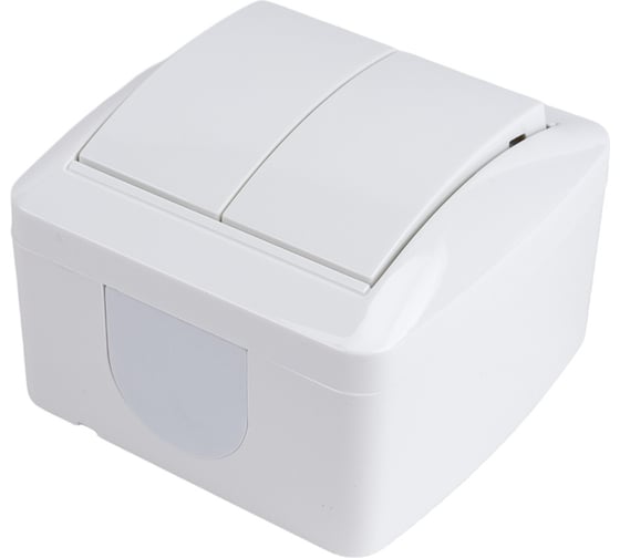 2-клавишный выключатель TDM ELECTRIC открытой установки IP44 10А белый "Селигер" SQ1818-0002
