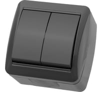 2-клавишный выключатель TDM ELECTRIC открытой установки IP44 10А серый "Селигер" SQ1818-0102