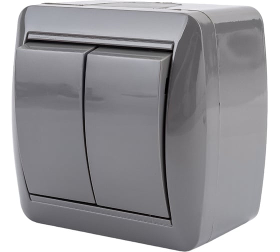 2-клавишный выключатель TDM открытой установки IP44 10А серый "Селигер" SQ1818-0102
