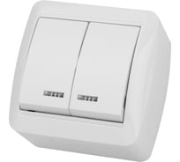 Выключатель с подсветкой накладной двухклавишный, белый IP44 TDM ELECTRIC 10А, серия "Селигер" SQ1818-0004