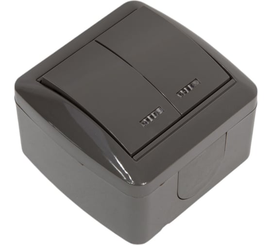 2-клавишный выключатель TDM ELECTRIC открытой установки с подсветкой IP44 10А серый "Селигер" SQ1818-0104