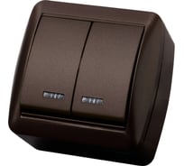 Выключатель с подсветкой двухклавишный накладной IP44 TDM ELECTRIC 10А шоколад, серия "Селигер" SQ1818-0204
