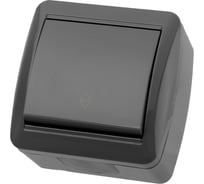 Выключатель на 2 направления одноклавишный накладной, серый IP44 TDM ELECTRIC 10А серия "Селигер" SQ1818-0111