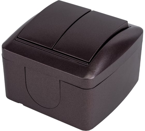 2-клавишный выключатель TDM ELECTRIC открытой установки IP44 10А шоколад "Селигер" SQ1818-0202