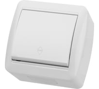 Выключатель на 2 направления накладной одноклавишный, белый IP44 TDM ELECTRIC 10А, серия "Селигер" SQ1818-0011